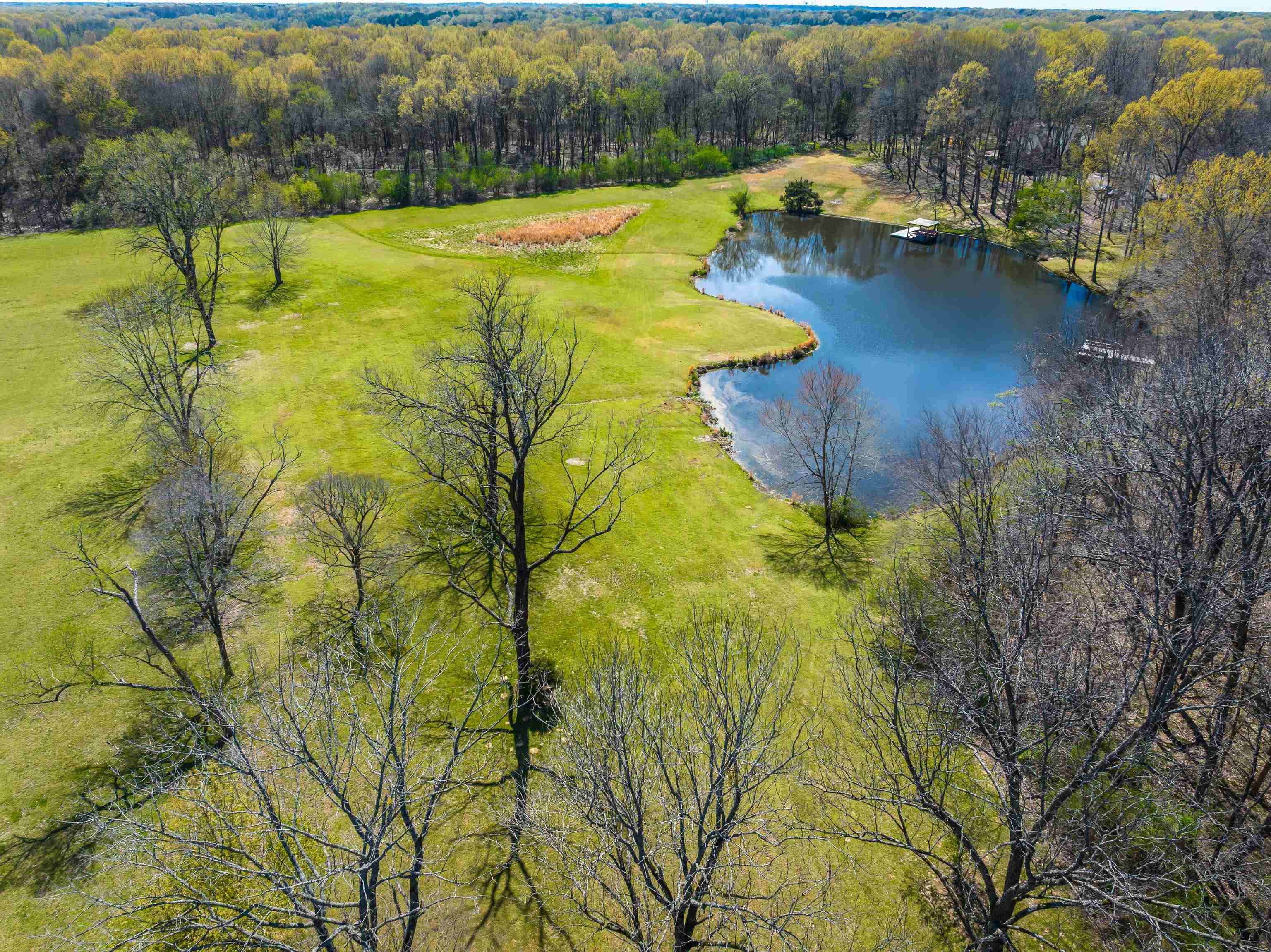 9155 Rocky Cannon Road Memphis, TN 38018 - Photo 5 of 20 a view of a swimming pool with a yard