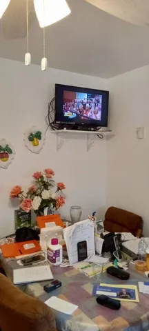 a room with furniture and a potted plant