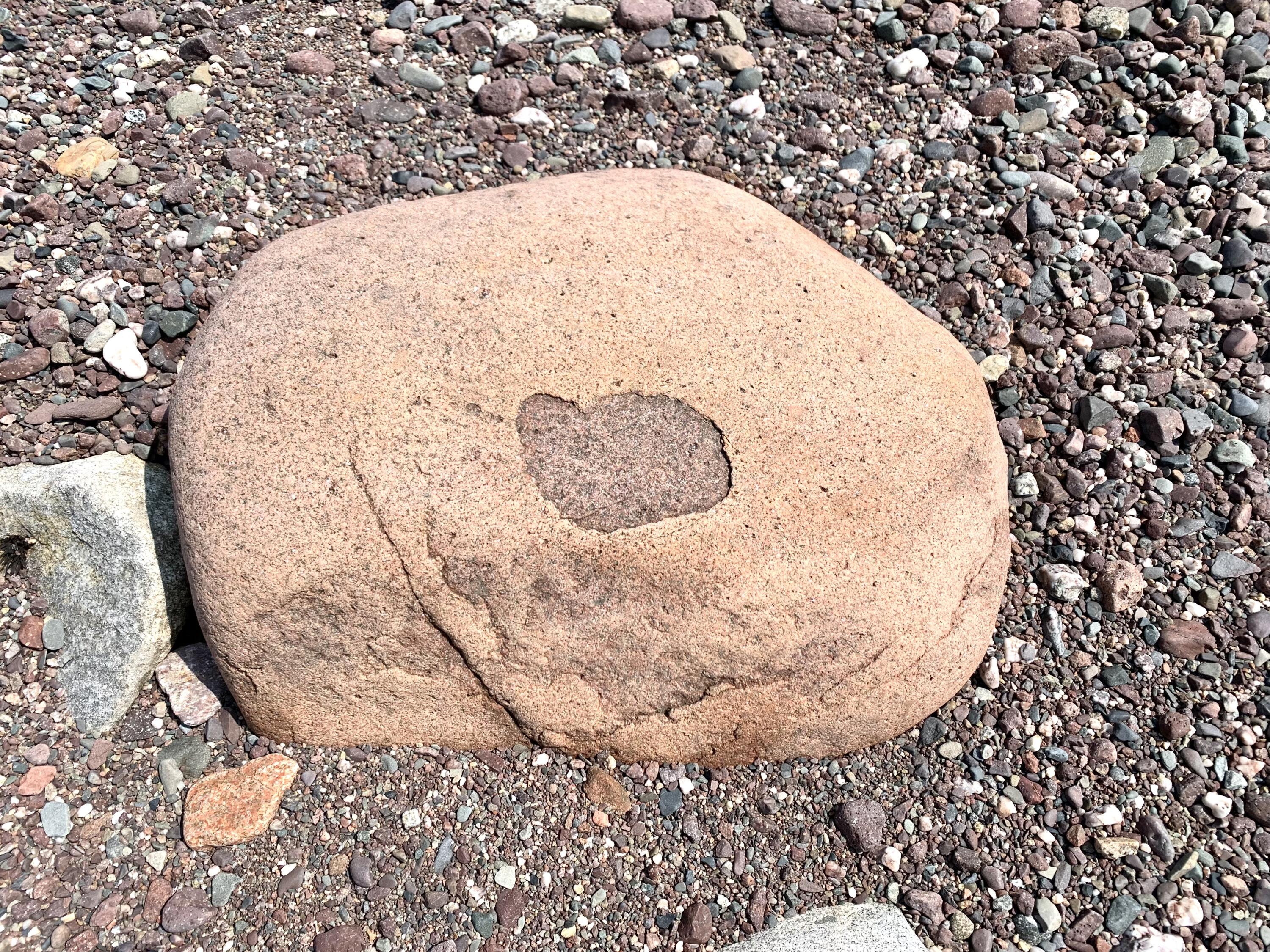 357 Shore Road Perry, ME 04667 - Photo 15 of 86 IMG_9757