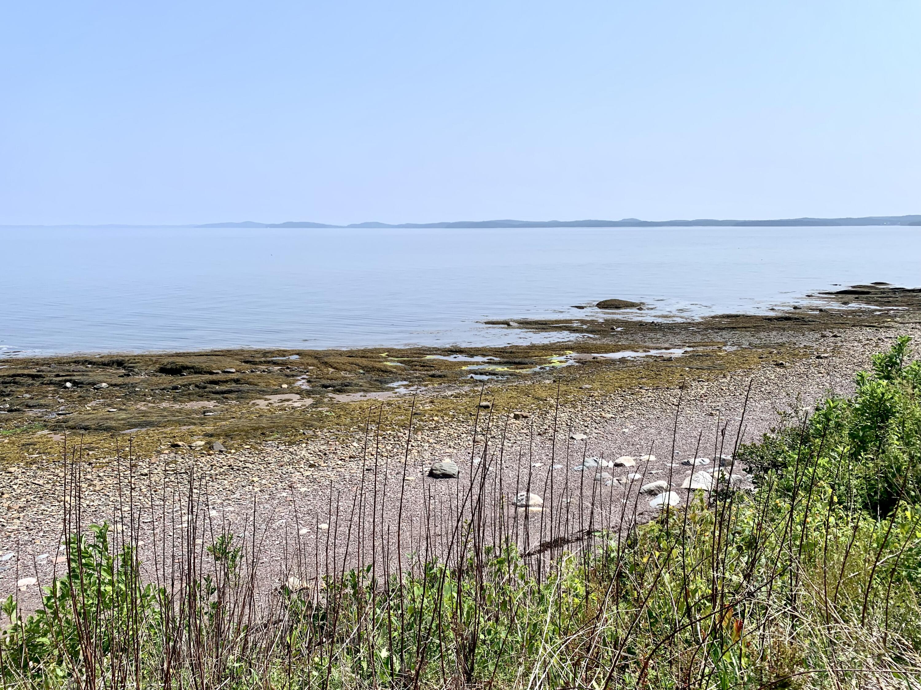 357 Shore Road Perry, ME 04667 - Photo 16 of 86 IMG_9761