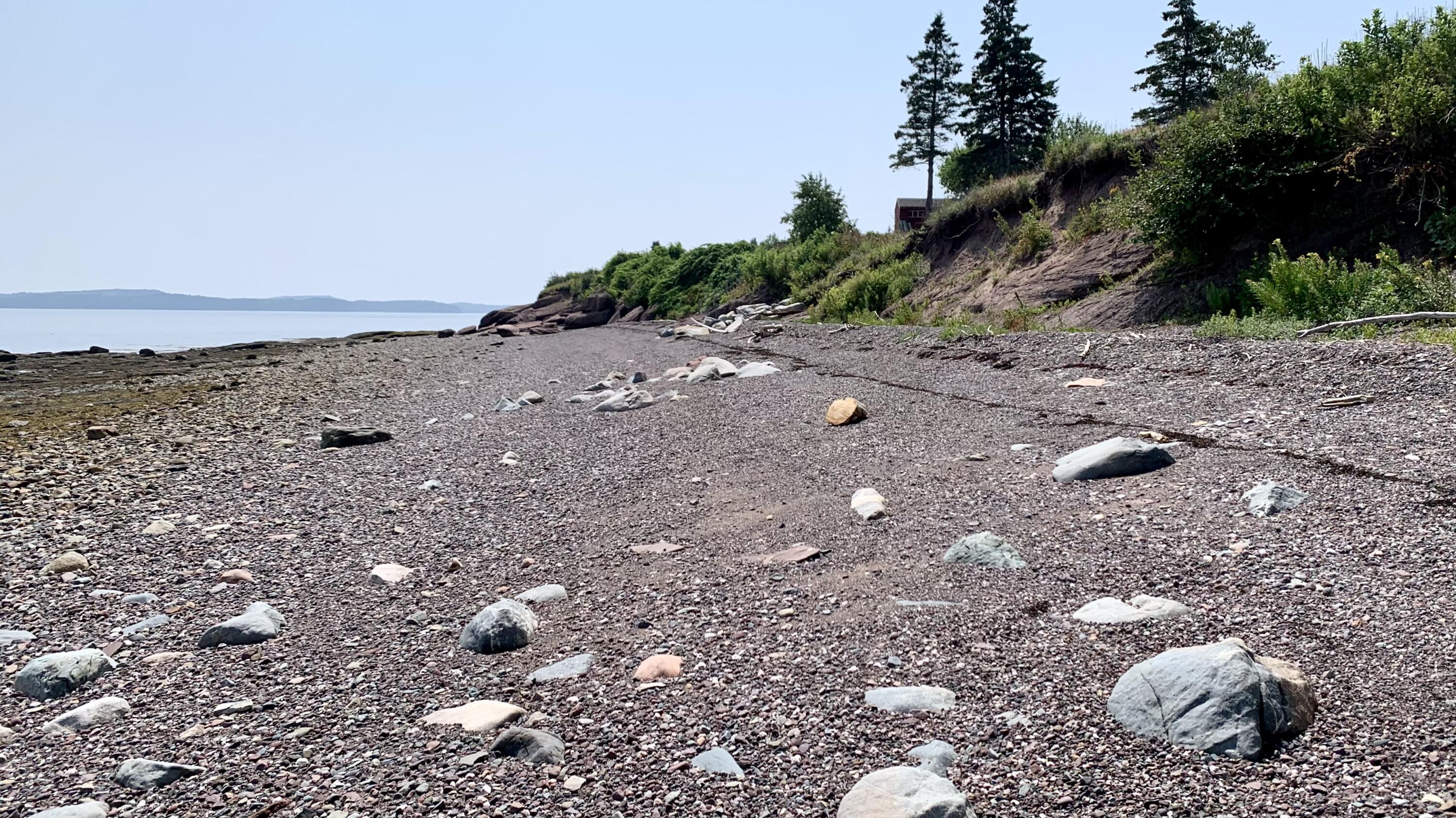 357 Shore Road Perry, ME 04667 - Photo 17 of 86 IMG_9754