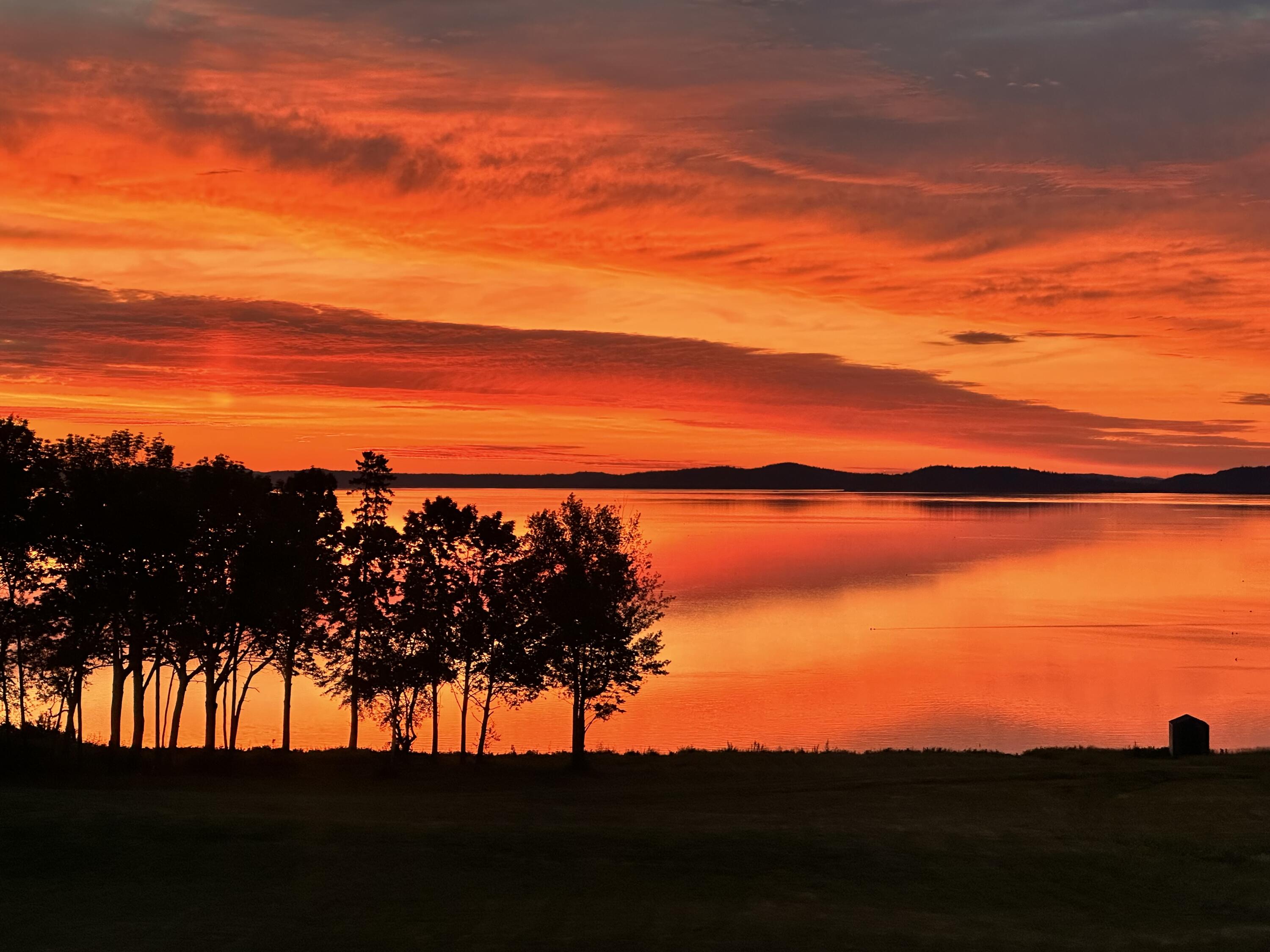 357 Shore Road Perry, ME 04667 - Photo 2 of 86 IMG_2206