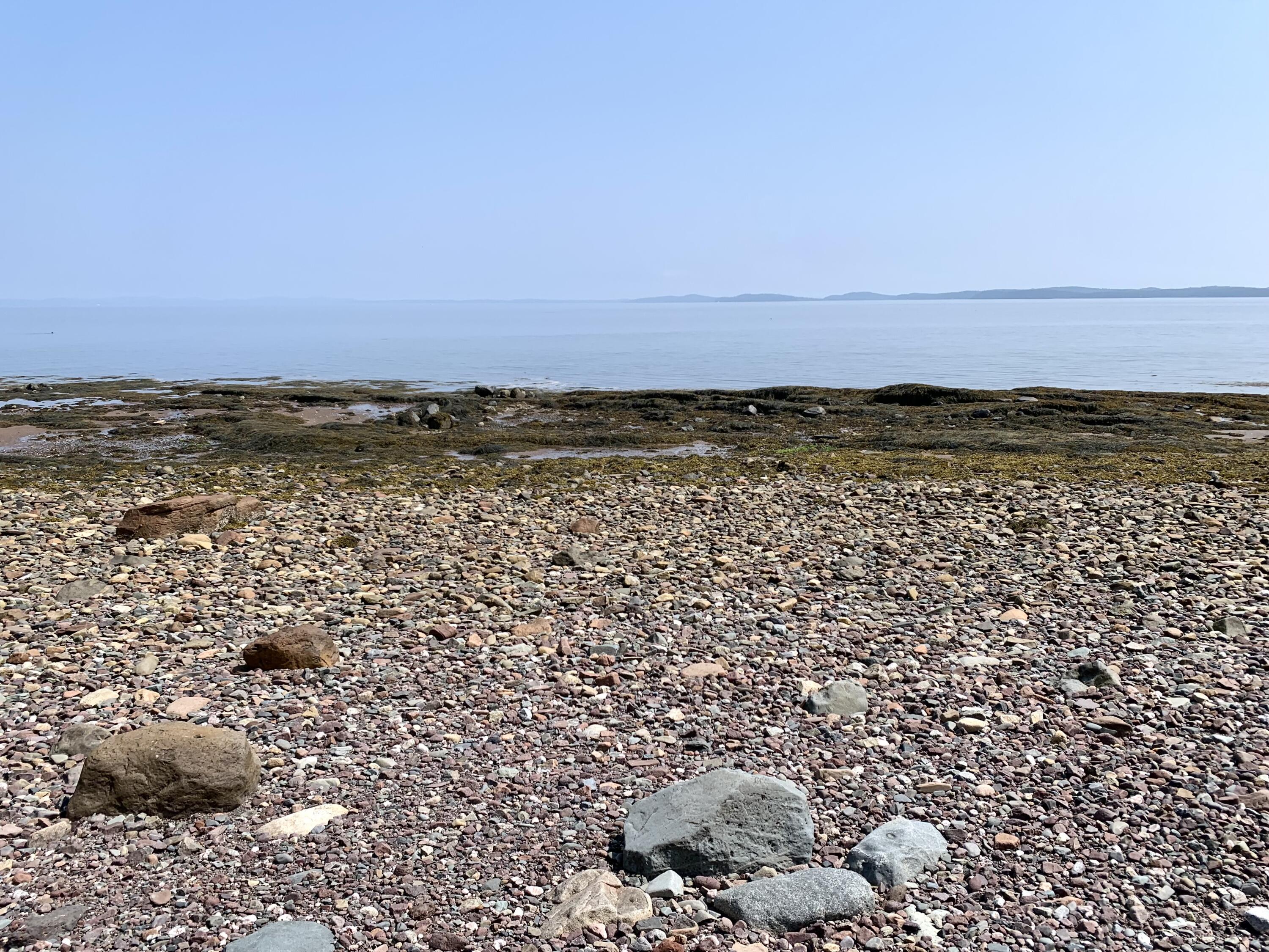 357 Shore Road Perry, ME 04667 - Photo 21 of 86 IMG_9756