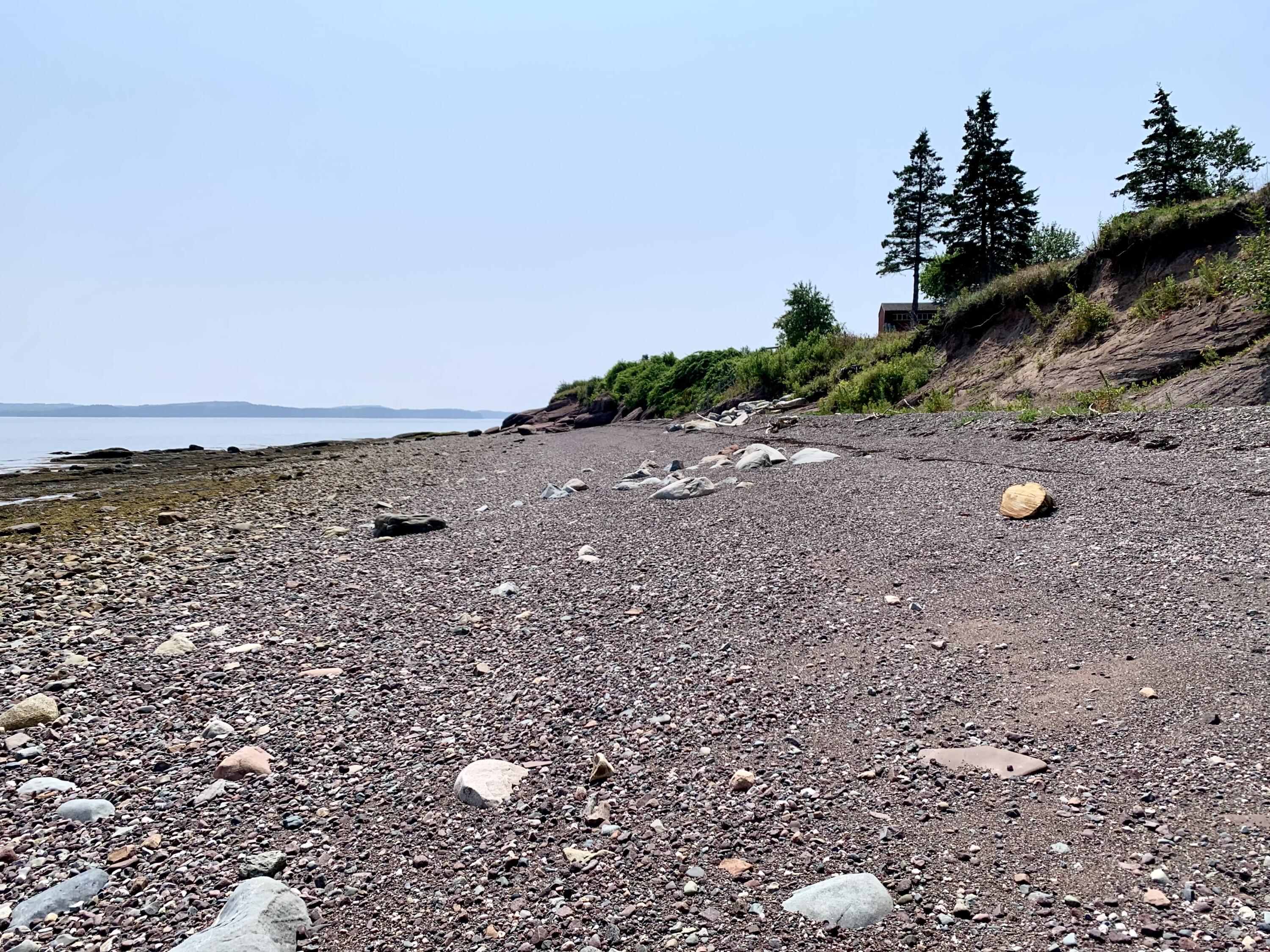 357 Shore Road Perry, ME 04667 - Photo 82 of 86 IMG_9758