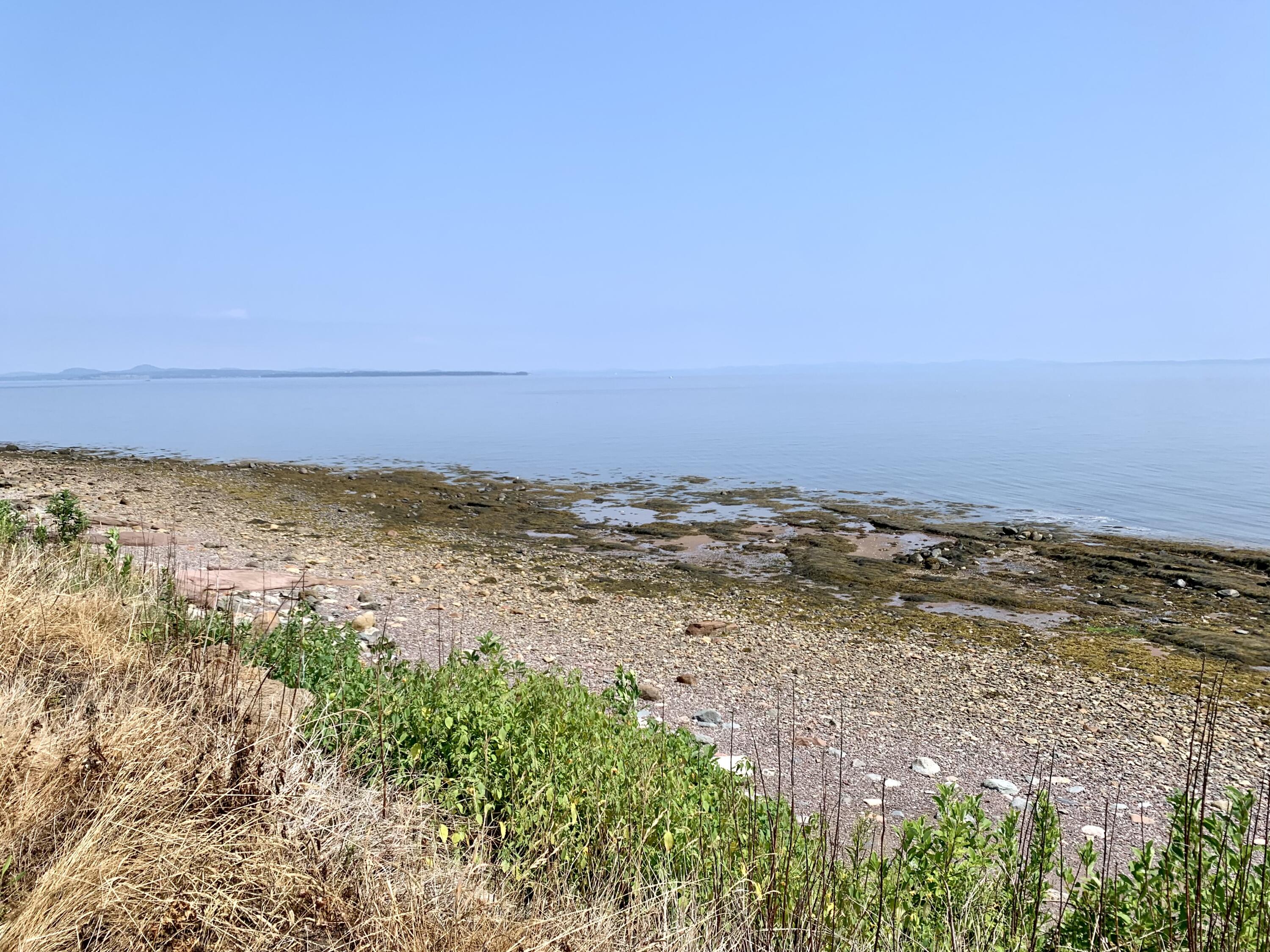 357 Shore Road Perry, ME 04667 - Photo 83 of 86 IMG_9762