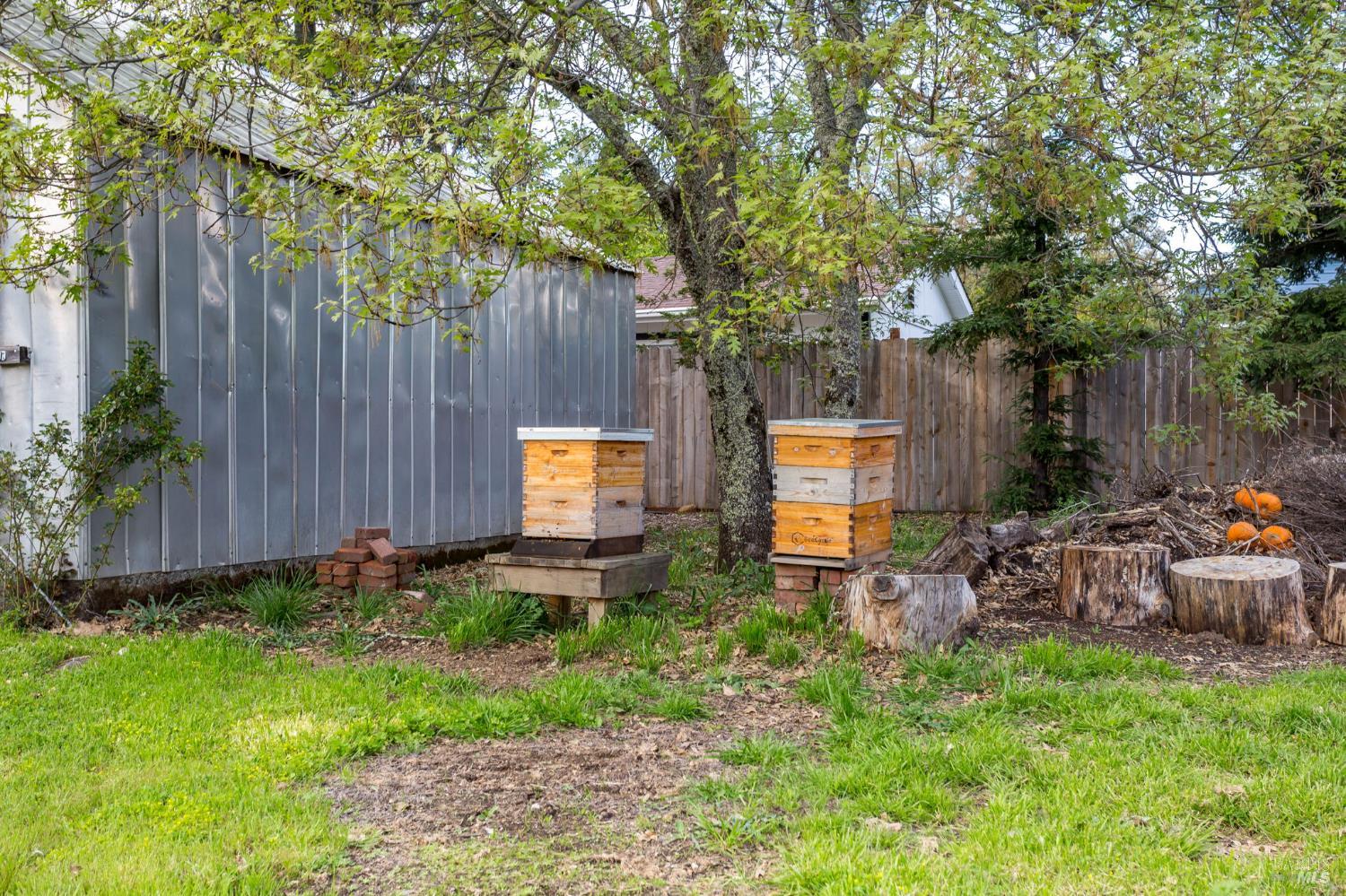 350 Newton Way Angwin, CA 94508 - Photo 33 of 44 a backyard of a house with seating space