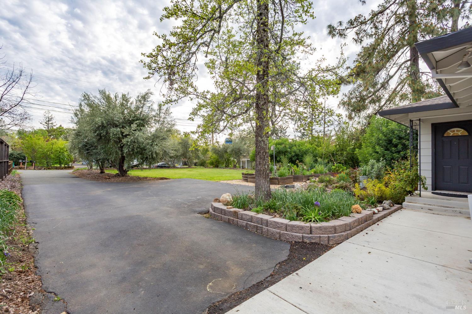 350 Newton Way Angwin, CA 94508 - Photo 36 of 44 a view of a garden with small plants