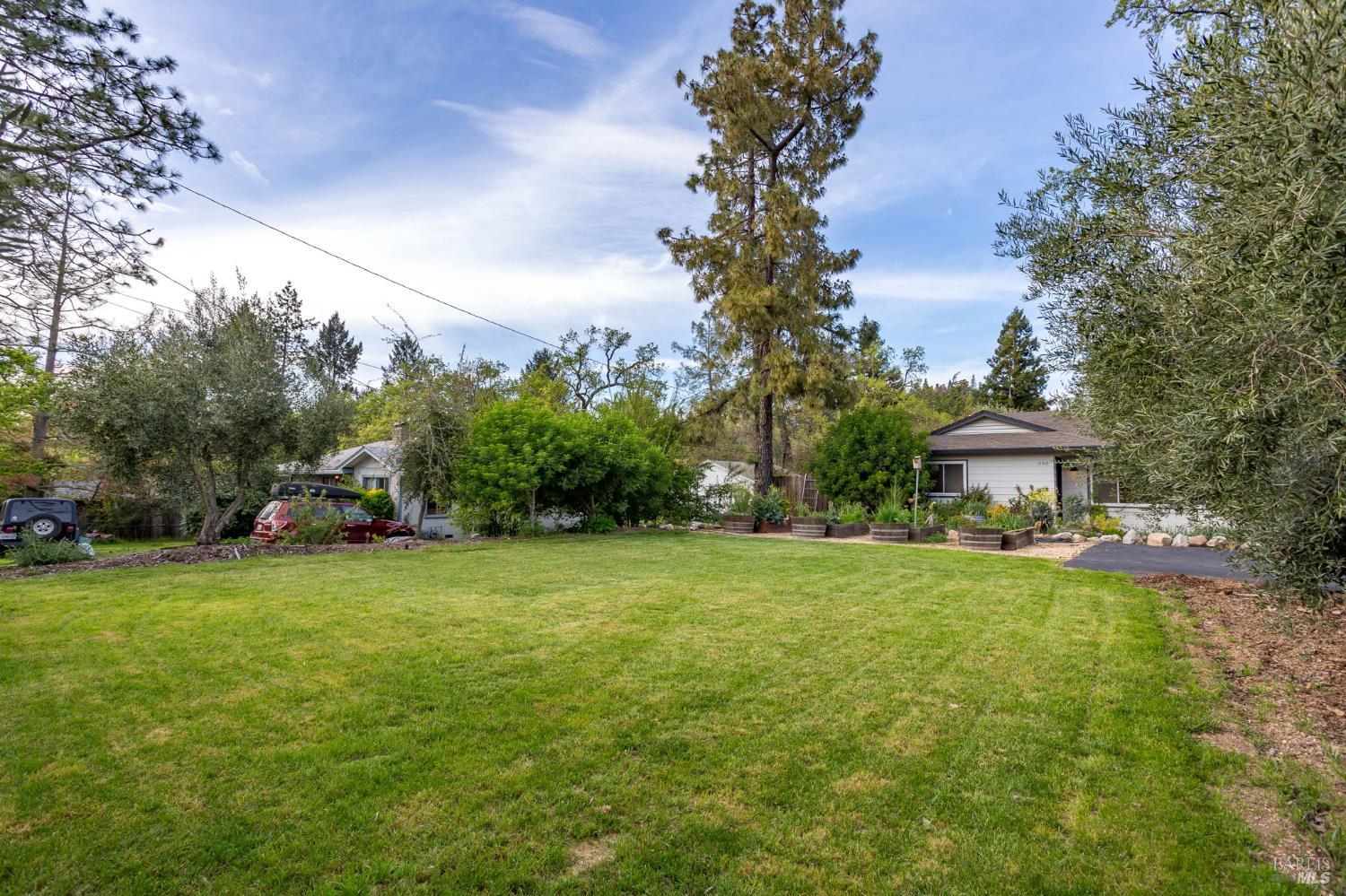 350 Newton Way Angwin, CA 94508 - Photo 8 of 44 a view of a trees in a yard with a house