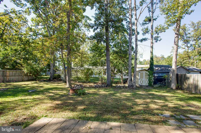 a view of a backyard with large trees