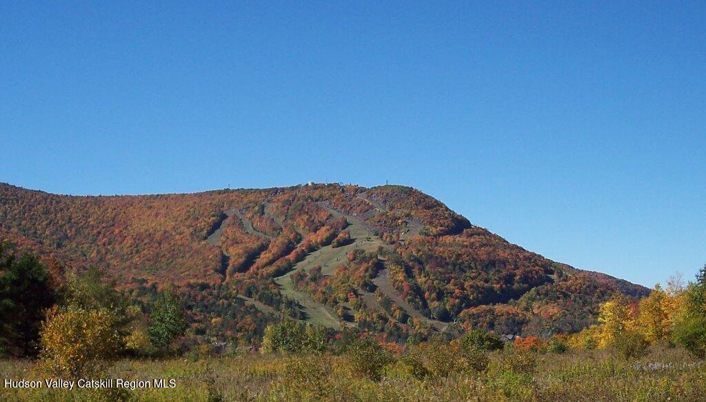 Lot 4 Ruth Court Watervliet, NY 12189 - Photo 7 of 14 a view of a dry yard with mountains in the background