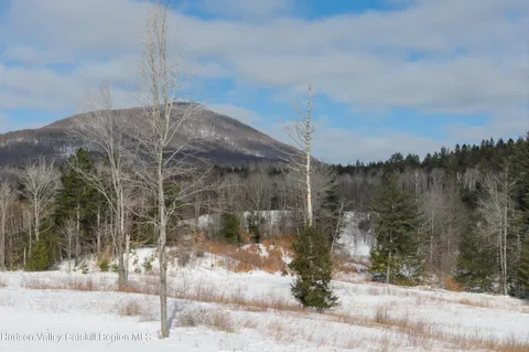 a view of a lake with houses in the back