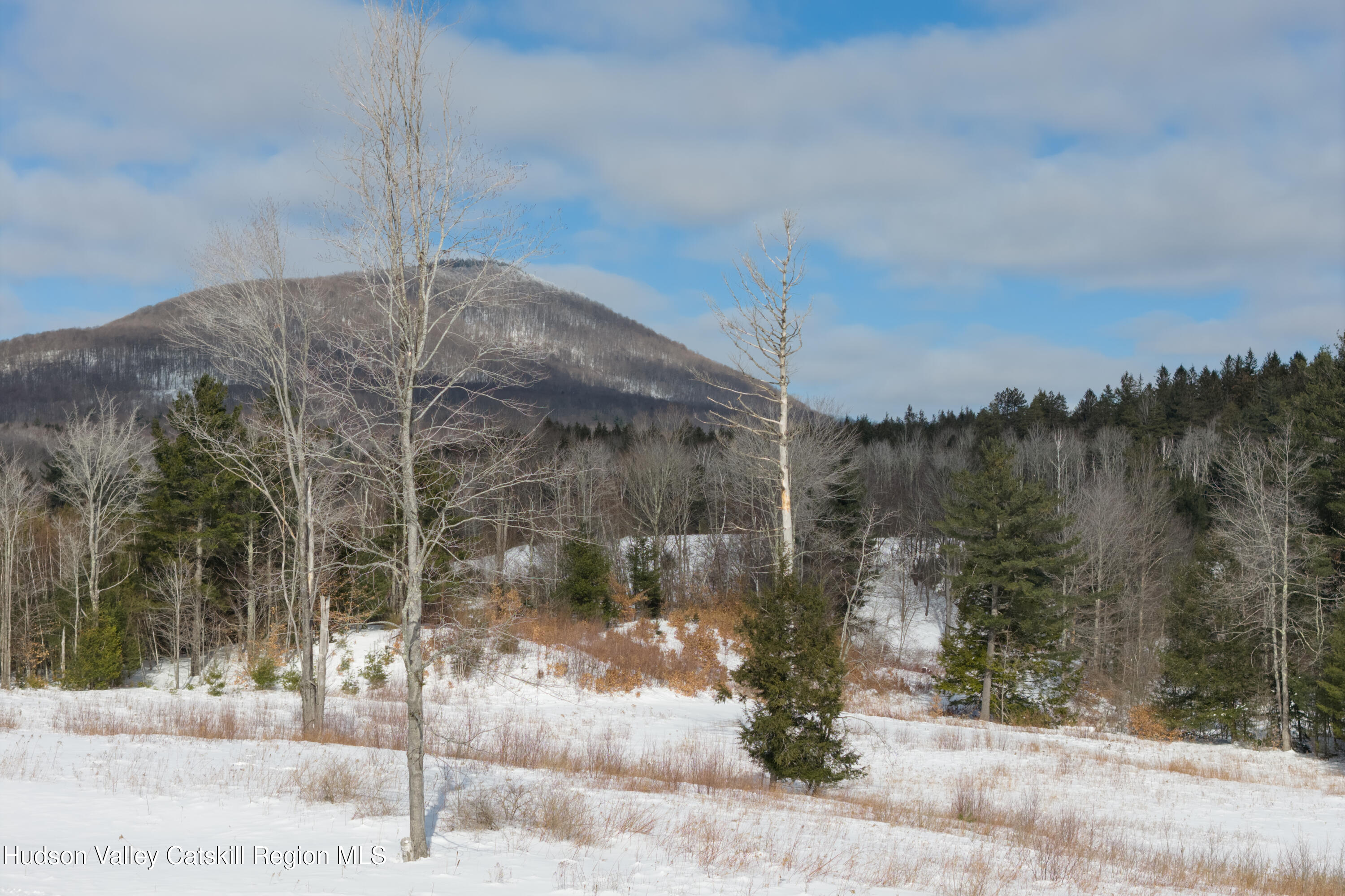 Lot 4 Ruth Court Watervliet, NY 12189 - Photo 9 of 14