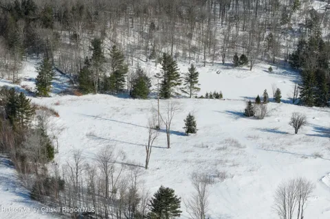 a view of a dry yard in a yard