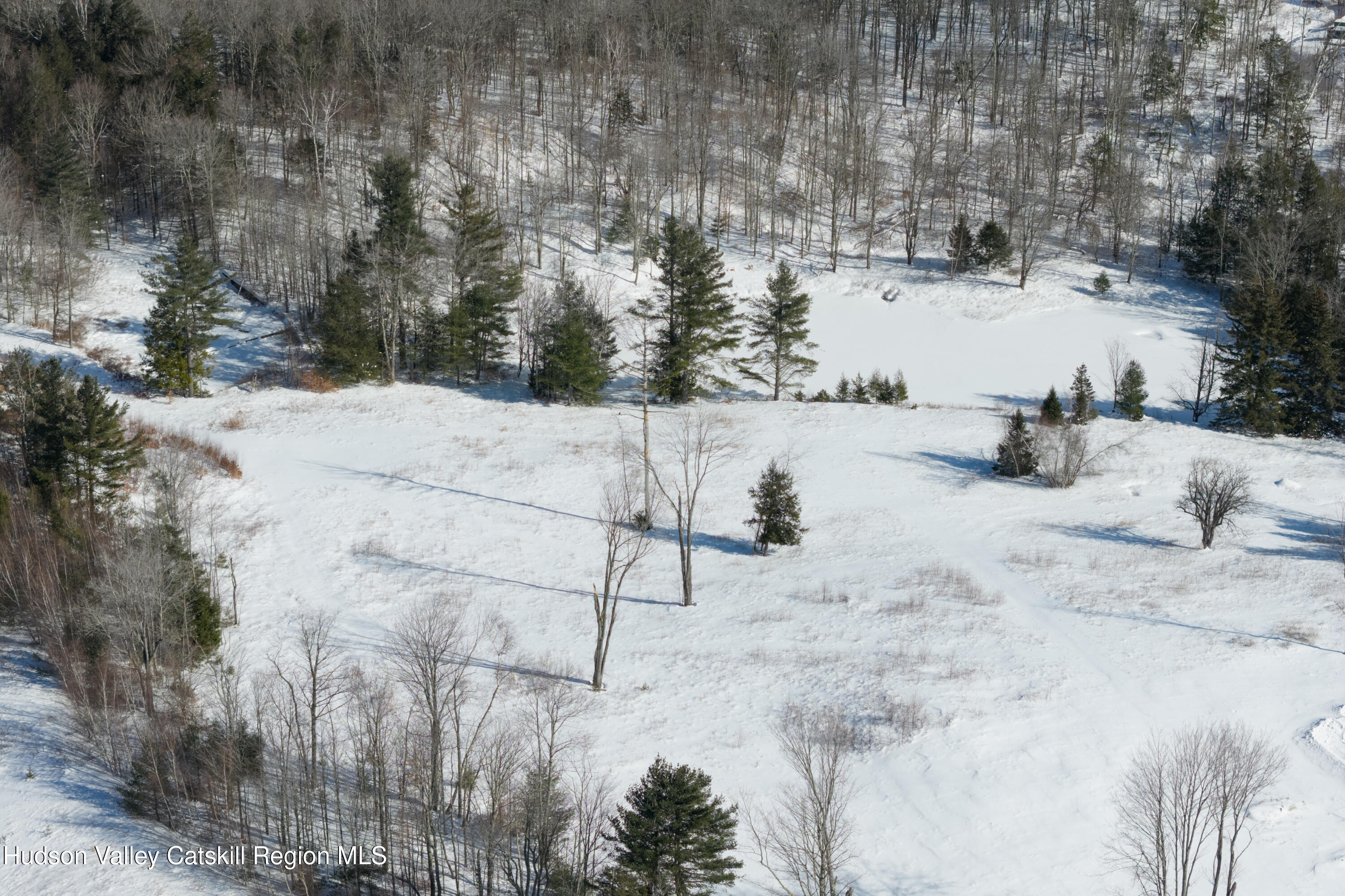 Lot 4 Ruth Court Watervliet, NY 12189 - Photo 10 of 14 a view of swimming pool with a yard