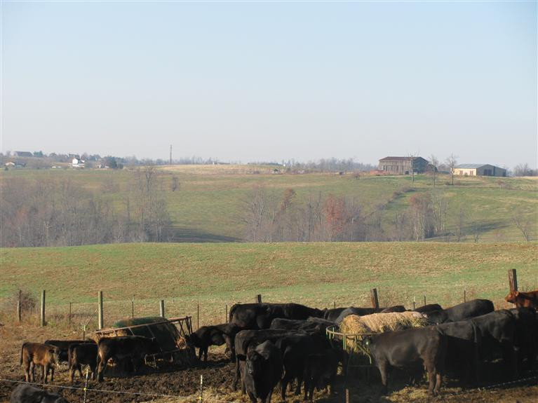 1240 Jim Clark Road Lancaster, KY 40444 - Photo 11 of 34 Photo 11