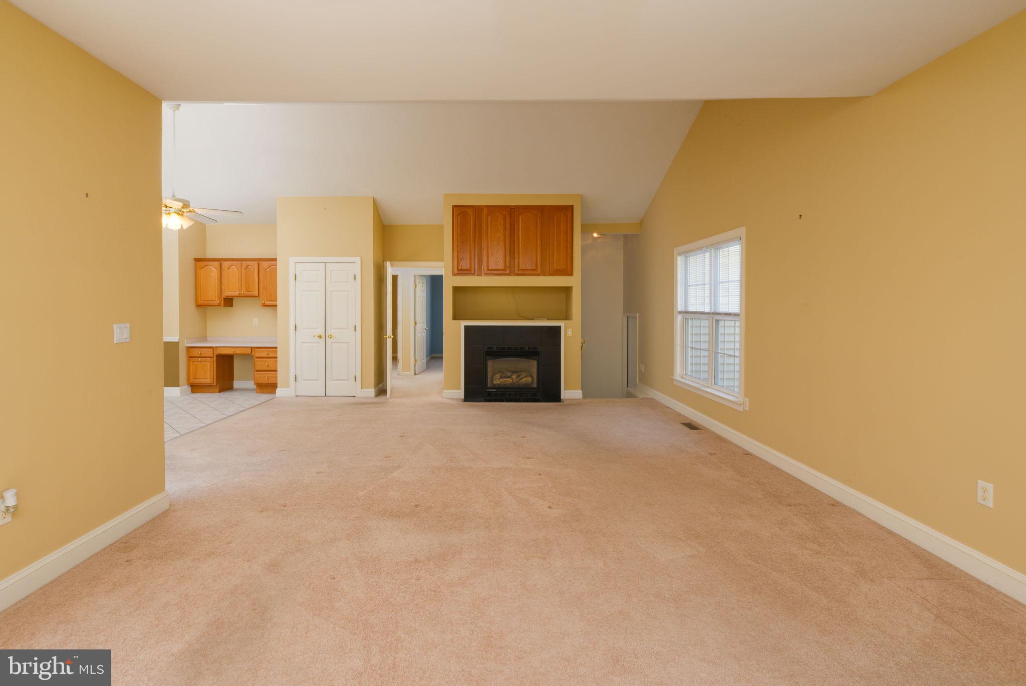 16841 Devon Road Lewes, DE 19958 - Photo 22 of 43 a view of a livingroom with a fireplace