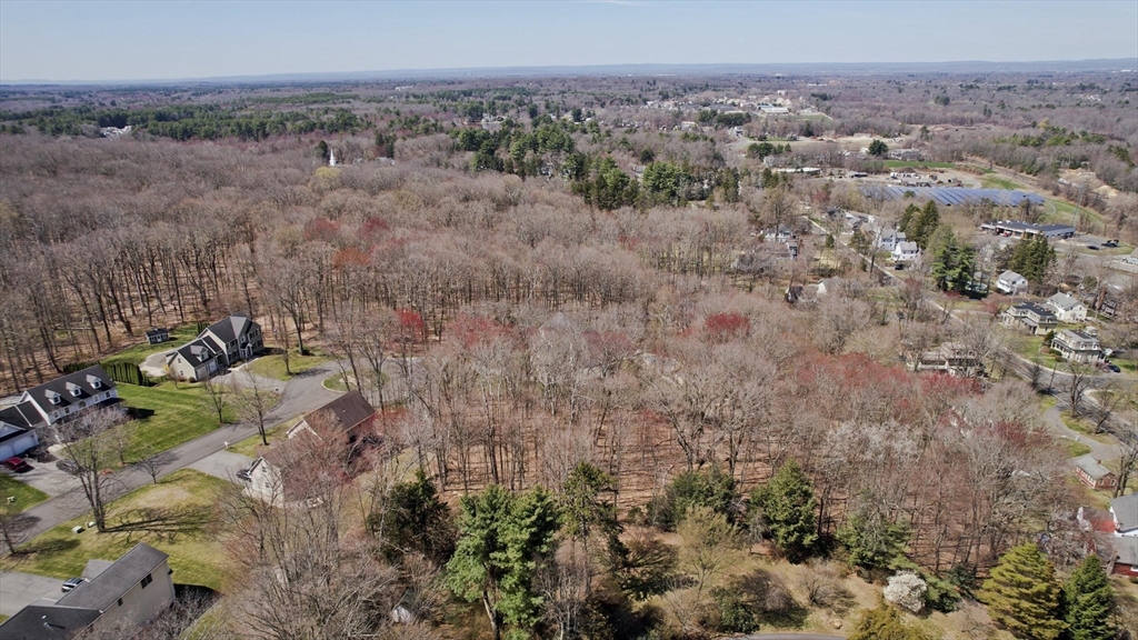 8 Patriot Ridge Lane Wilbraham, MA 01095 - Photo 4 of 8 a view of a yard with a forest