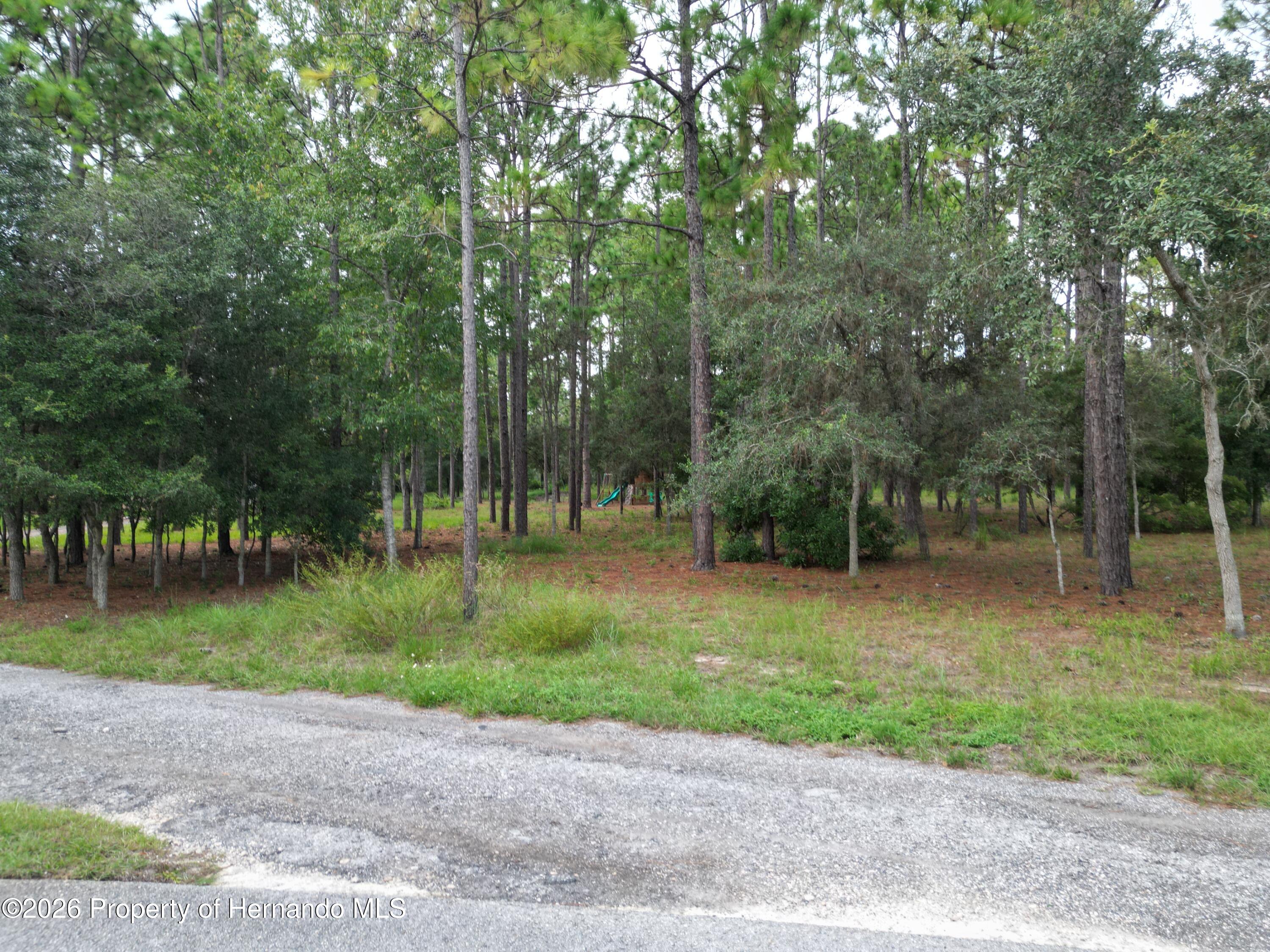 0 Jumper Loop Spring Hill, FL 34609 - Photo 5 of 9 Gallery Image 5