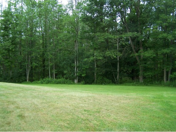 4647 Lisle Road Owego, NY 13827 - Photo 5 of 20 Gallery Image 5