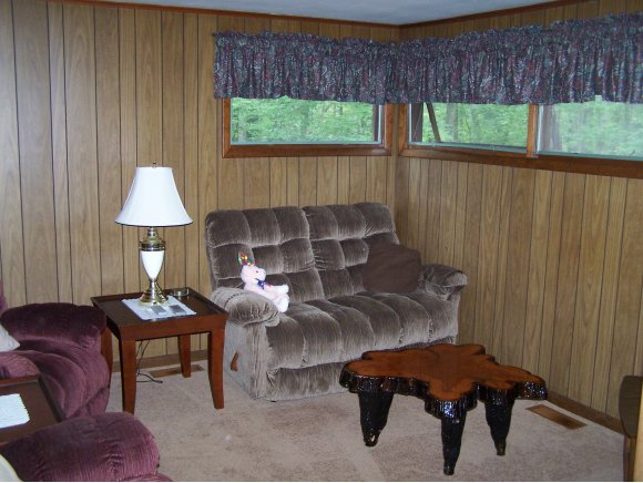 4647 Lisle Road Owego, NY 13827 - Photo 10 of 20 Gallery Image 10