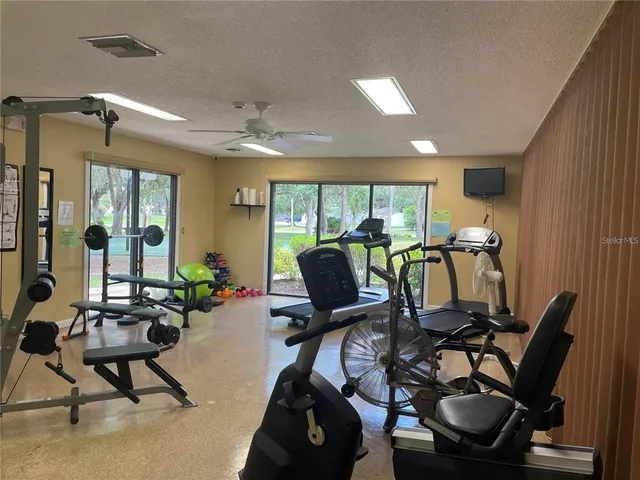 a living room with furniture a floor to ceiling window and potted plant