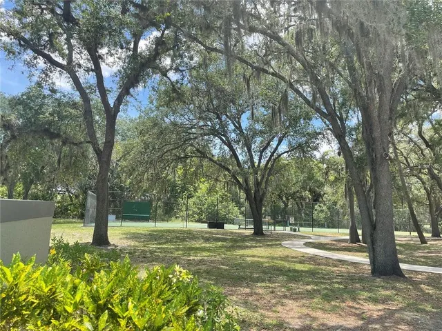 a view of a yard with a tree