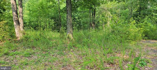10816 Lucks Road Bumpass, VA 23024 - Photo 1 of 3 Gallery Image 1