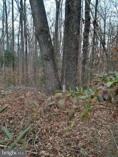 10816 Lucks Road Bumpass, VA 23024 - Photo 2 of 3 Gallery Image 2