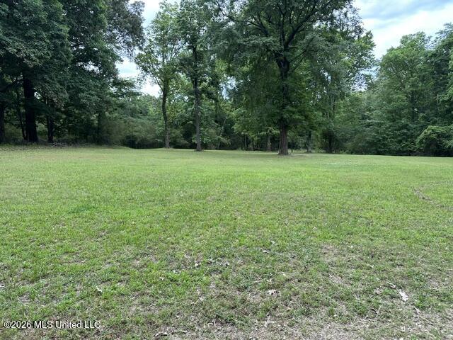9210 Highway 315 Como, MS 38619 - Photo 6 of 10 IMG_2788