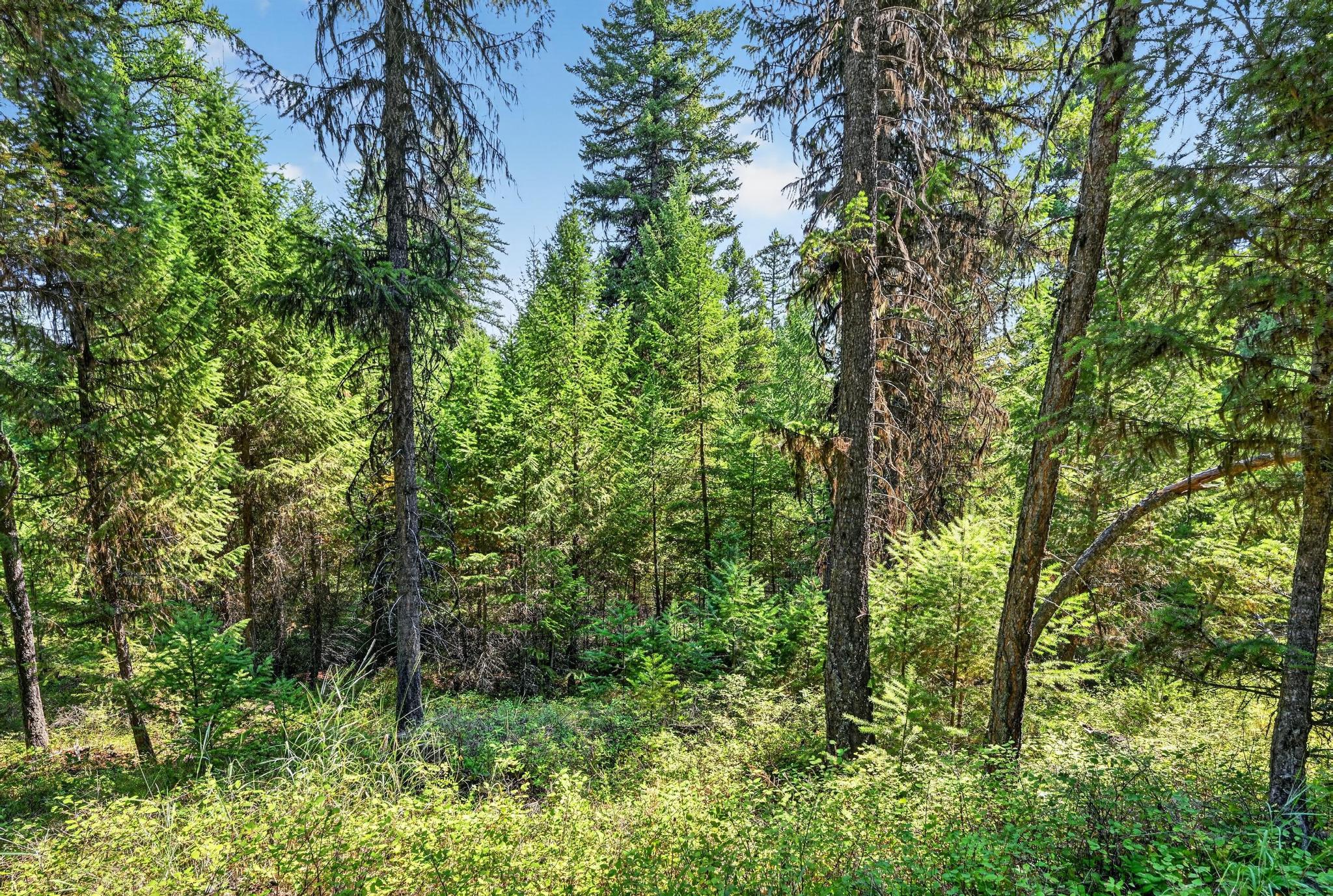 Lot 5 Forest Ridge Road Eureka, MT 59917 - Photo 17 of 23 Gallery Image 17