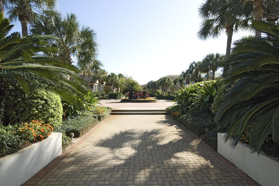 51 Rue Caribe Miramar Beach, FL 32550 - Photo 37 of 41 a view of a yard with palm tree