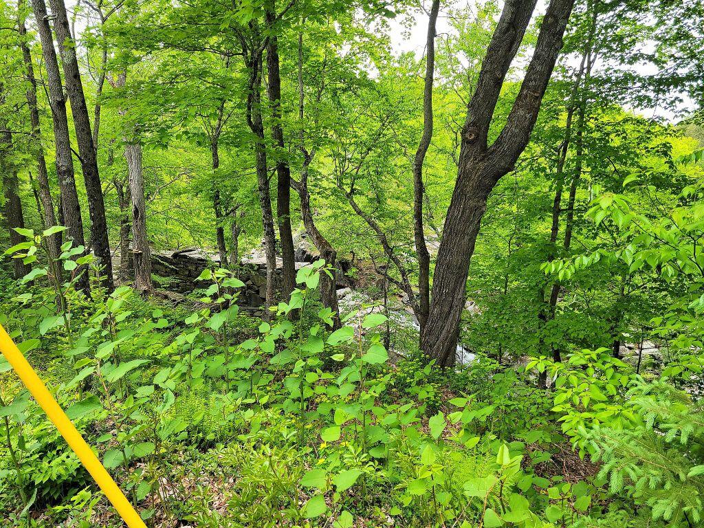 699 Shaw Hill Road Industry, ME 04938 - Photo 9 of 25 280900908_388918209952307_85714694060211