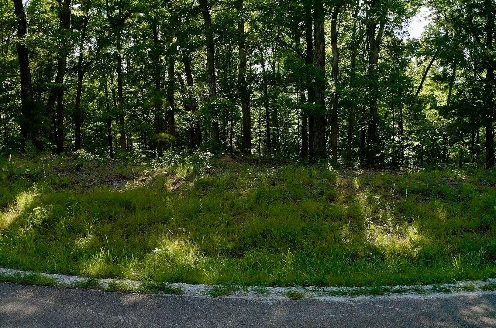 0 Jeanette Holladay Road Holladay, TN 38341 - Photo 2 of 8