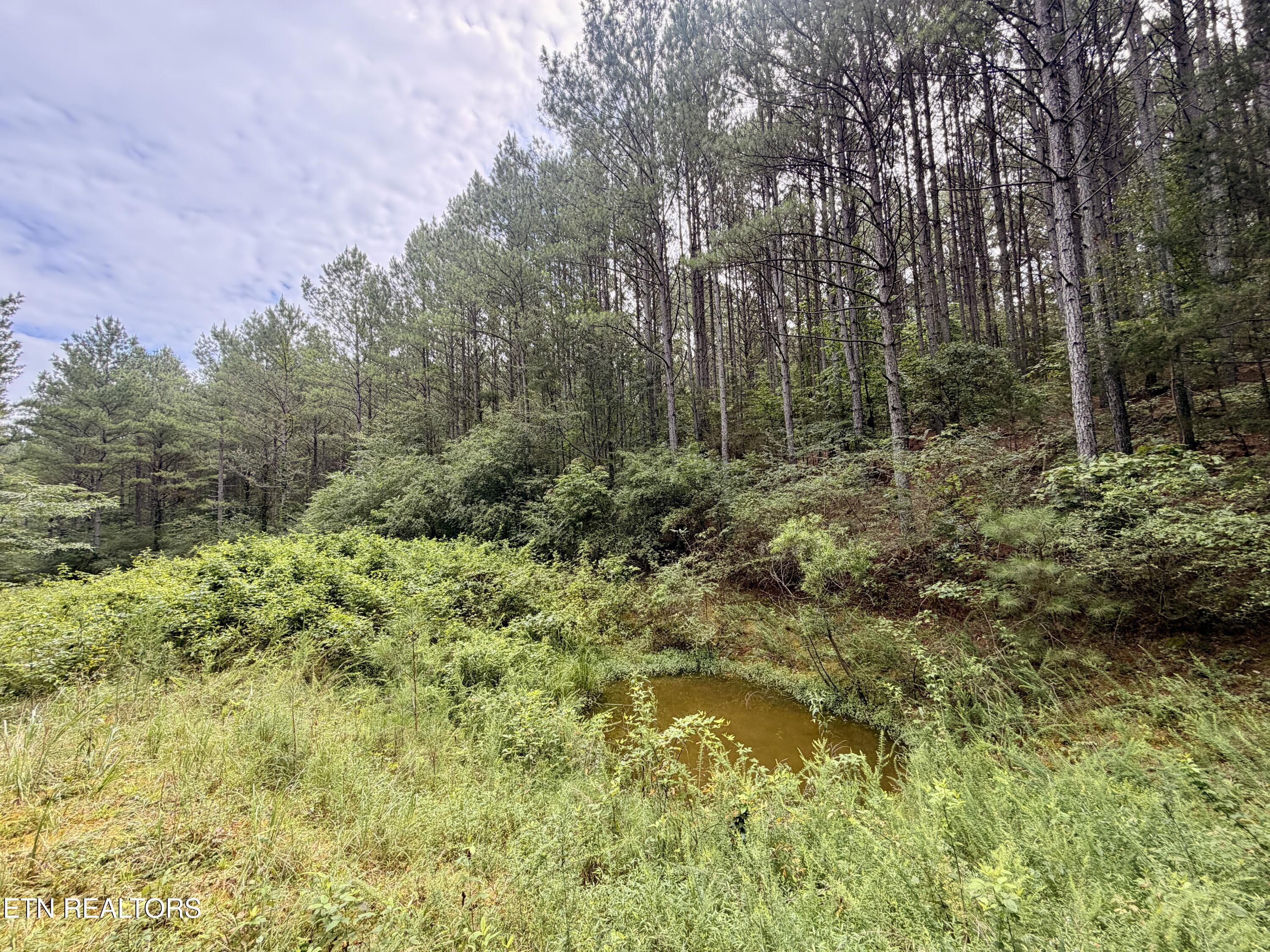 Northwest Eads Bluff Road Northwest Georgetown, TN 37336 - Photo 24 of 36 24
