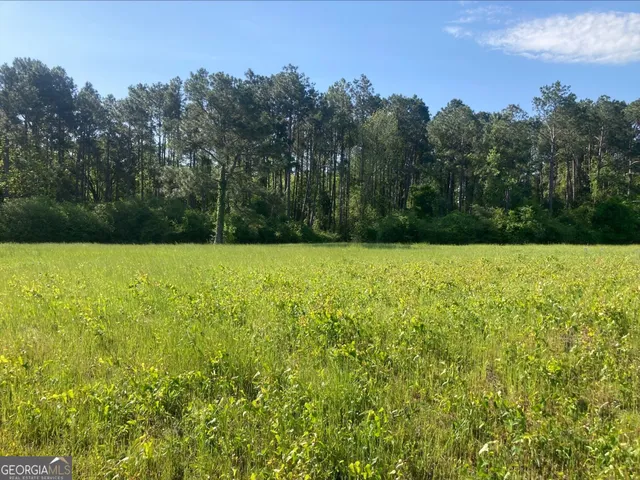 $610,000 | 76-001 Tifton Eldorado Road, Tifton, GA 31793