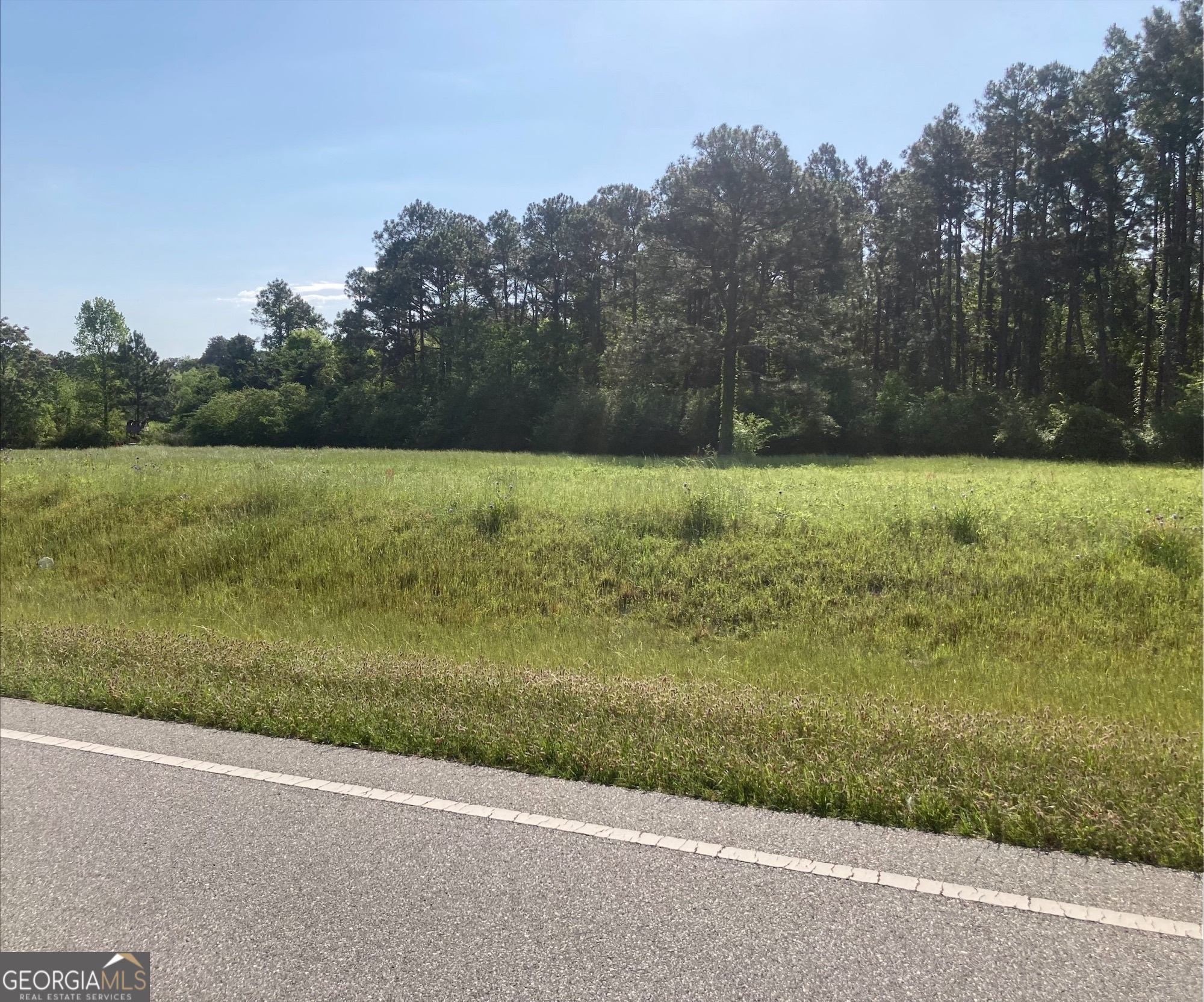 76-001 Tifton Eldorado Road Tifton, GA 31793 - Photo 4 of 14 a view of a field with a tree