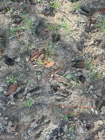 a aerial view of a house with a yard