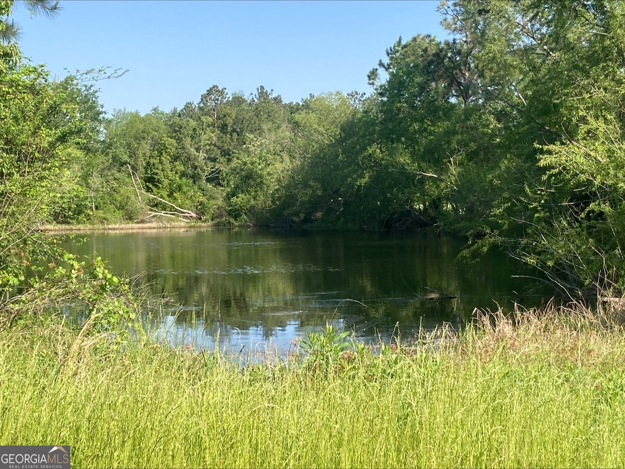 76-001 Tifton Eldorado Road Tifton, GA 31793 - Photo 8 of 14 a view of a lake view