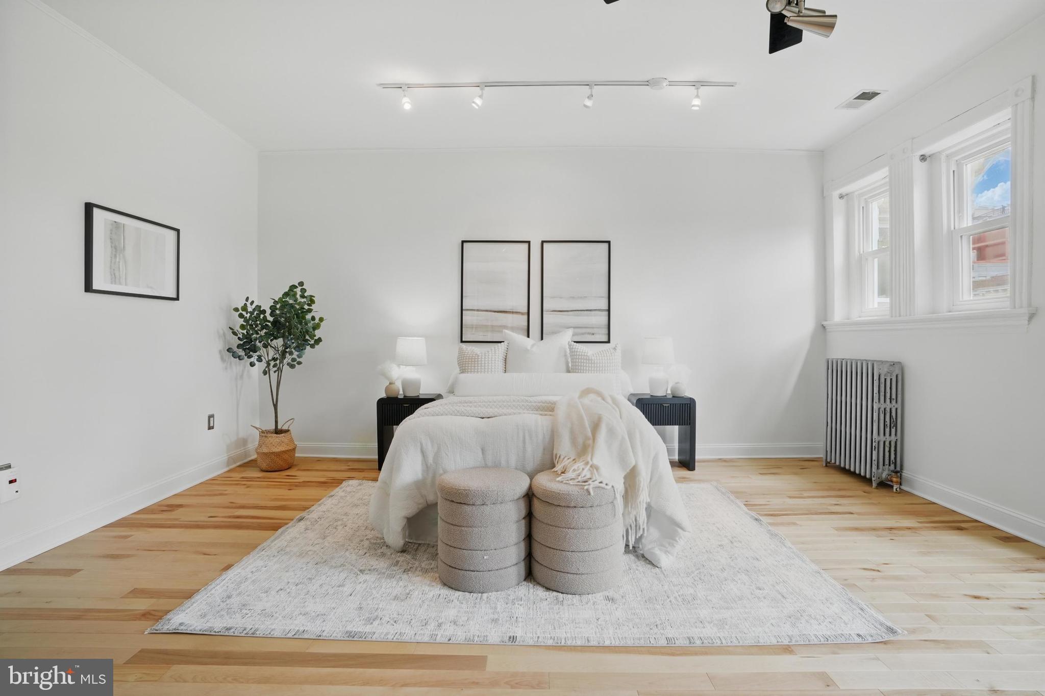 136 R Street Northeast Washington, DC 20002 - Photo 27 of 36 a living room with furniture and a potted plant