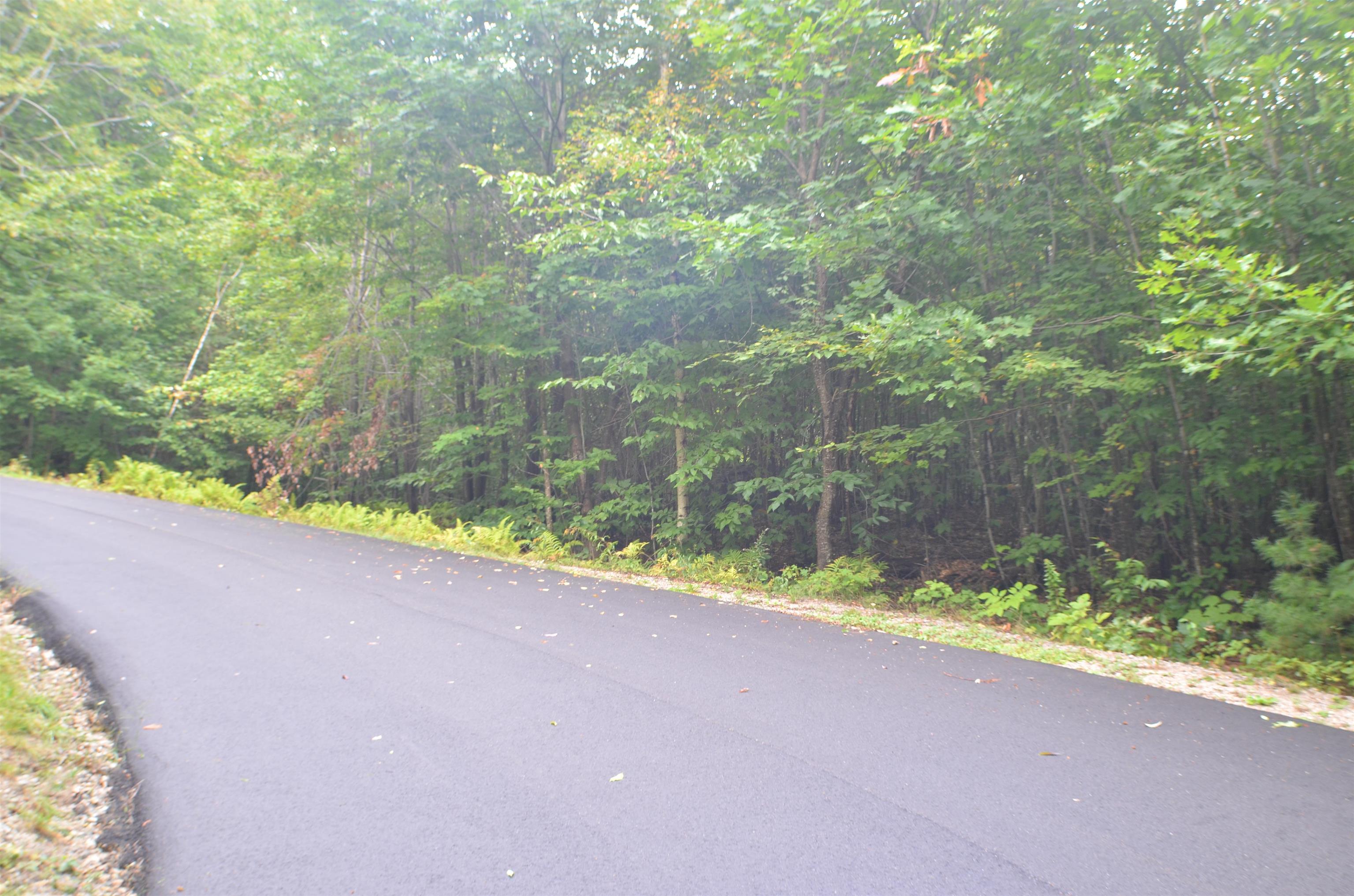 31 Valley Road Tuftonboro, NH 03816 - Photo 3 of 13