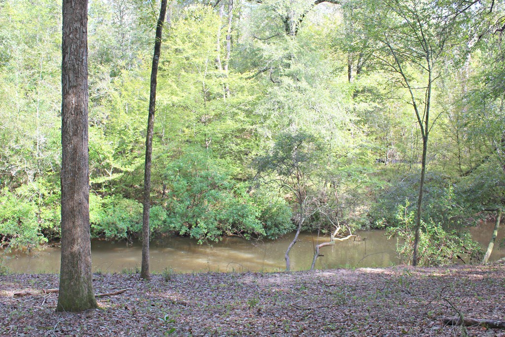 1892 Boxankle Road Forsyth, GA 31029 - Photo 17 of 20 a view of a lake with a house in the background
