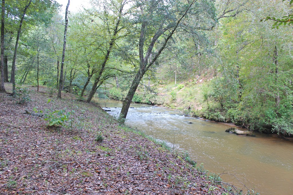 1892 Boxankle Road Forsyth, GA 31029 - Photo 18 of 20 a view of a forest with trees