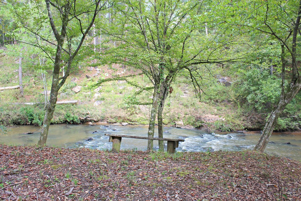 1892 Boxankle Road Forsyth, GA 31029 - Photo 19 of 20 a backyard of a house with lots of green space