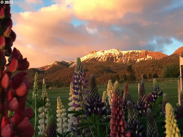 $645,000 | 61687 Lime Quarry Road, Enterprise, OR 97828