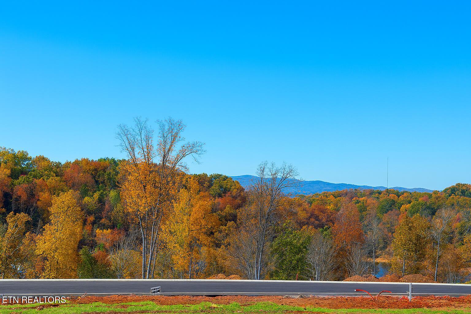 Graystone Shoals Morristown, TN 37814 - Photo 4 of 4 Autumn road through vibrant forest (1)