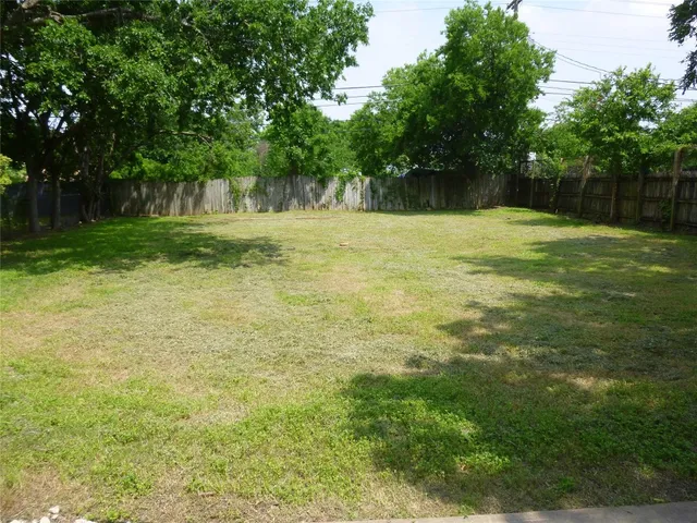 a view of a yard with a tree