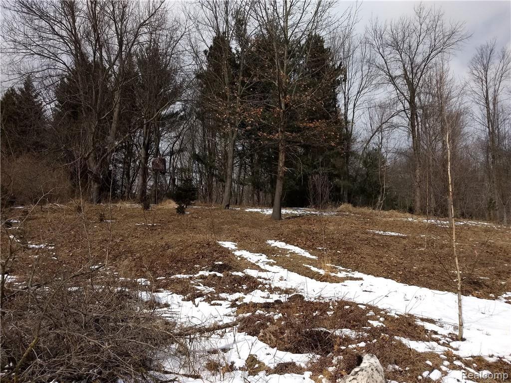 0 Smith Road Davison, MI 48423 - Photo 1 of 20 Attachment-1.jpeg