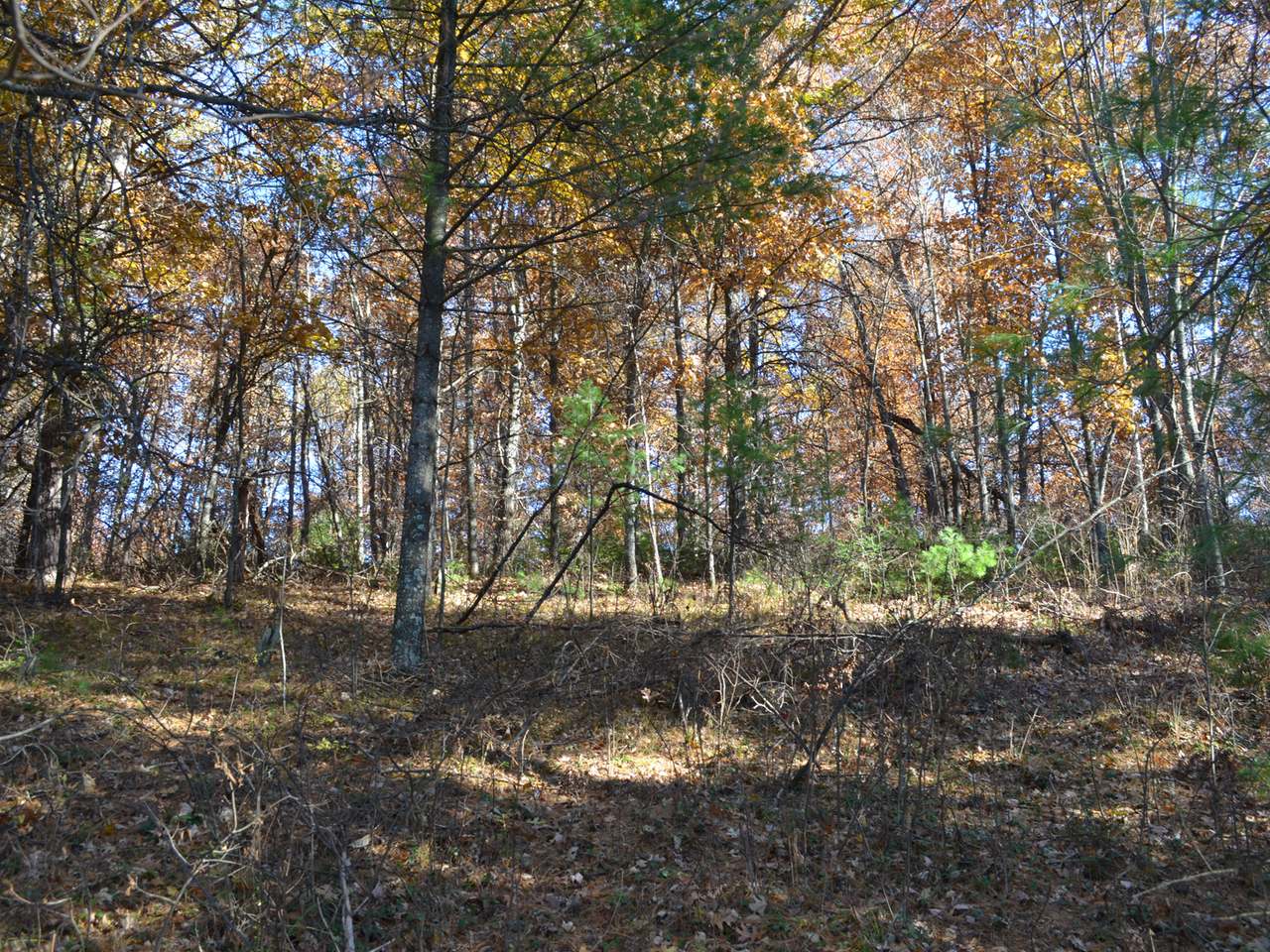 Lot 3 Point O Pines Road Tomahawk, WI 54487 - Photo 8 of 20 Gallery Image 8
