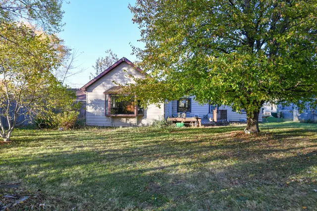 a tall tree in middle of green field