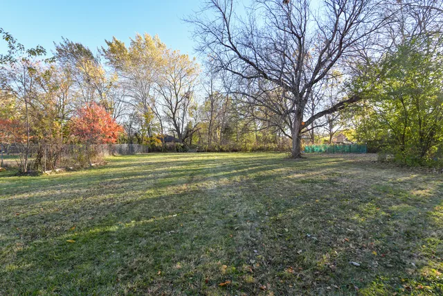 a view of a field with trees